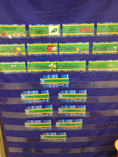 Insect/Eric Carle Week - First Grade Roars!