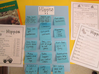  Hippo Day! - First Grade Roars! 