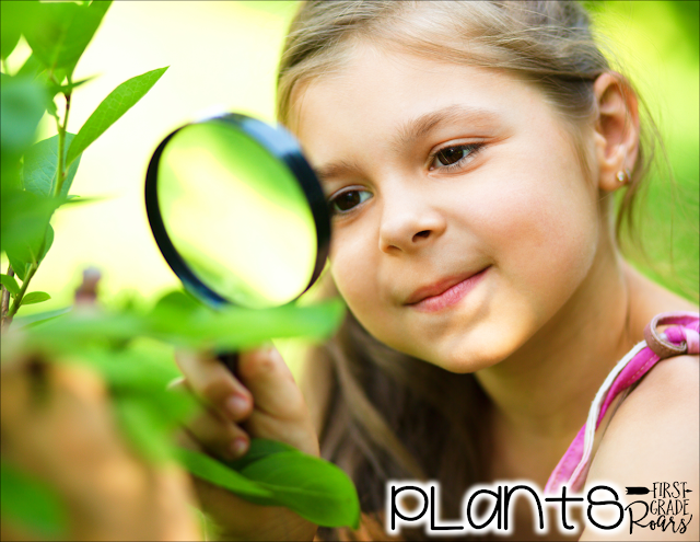 discovering plants first grade plants unit