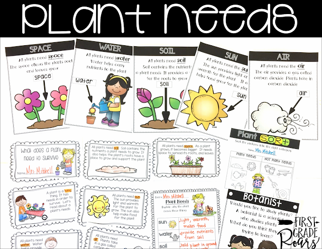 plant needs posters and mini book for first grade plant unit