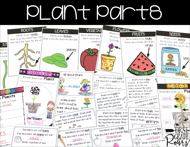 plant parts posters and mini book for first grade plant unit
