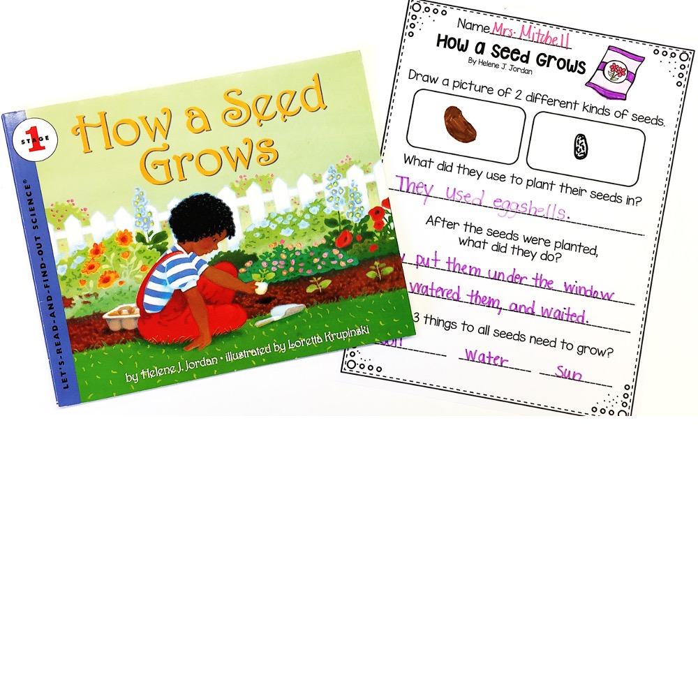 How a Seed Grows activities for first grade plant unit