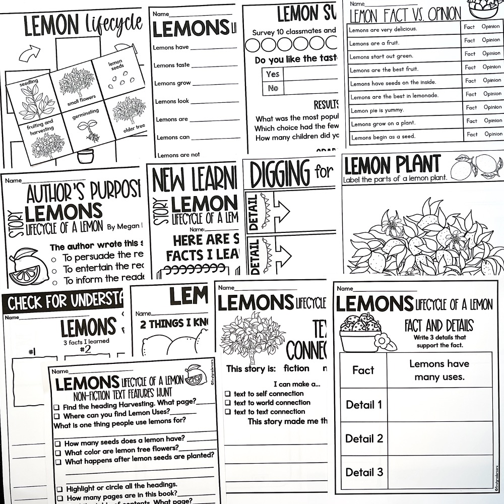 Lifecycle of a lemon nonfiction activities for lemonade day