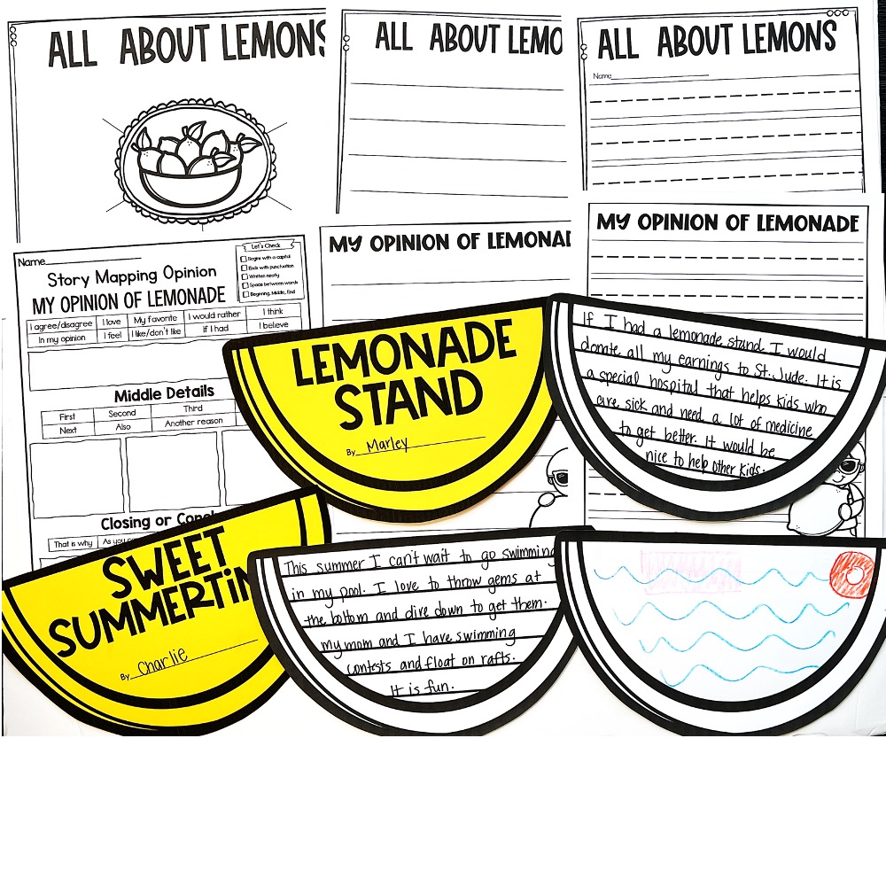 lemonade day writing activity