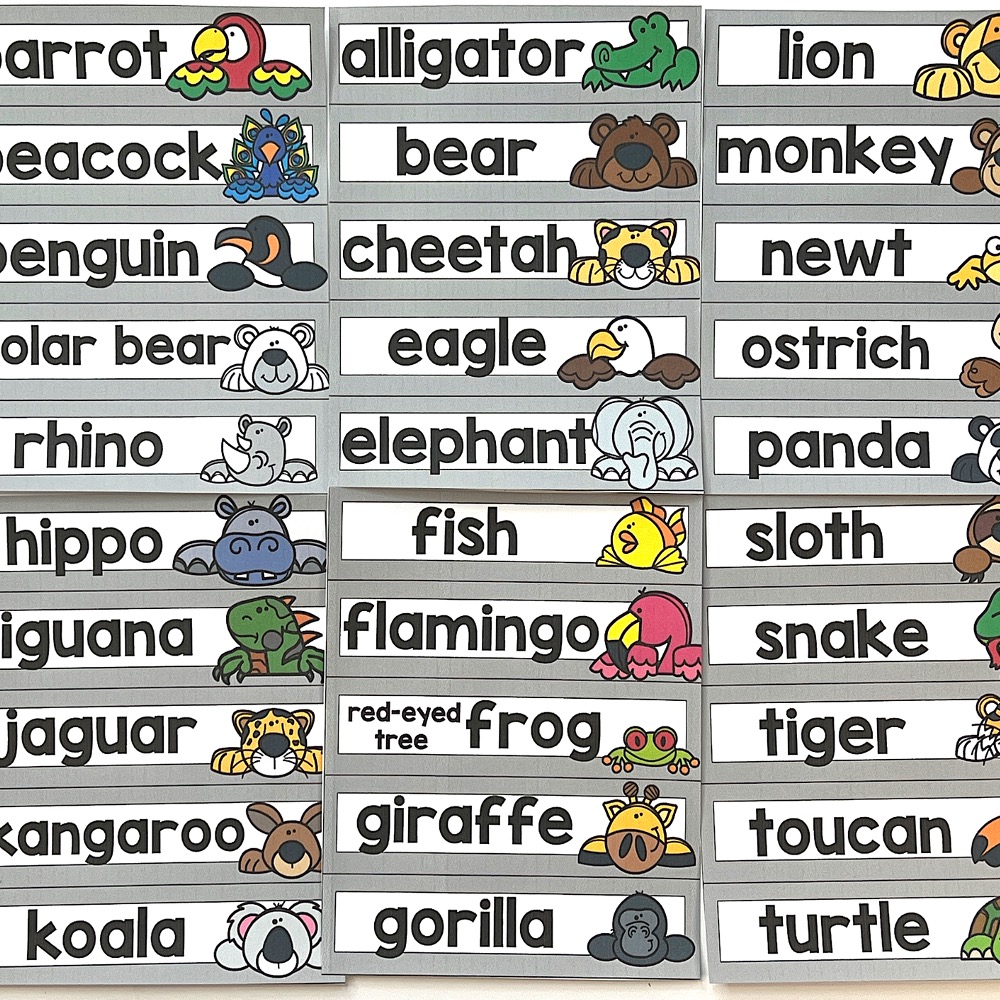 zoo day word wall