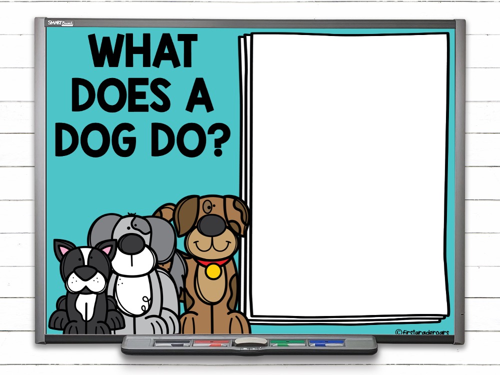 what does a dog do? verb activity