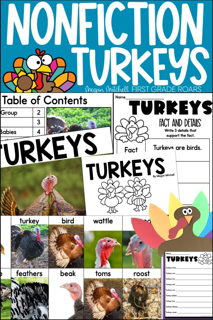nonfiction turkey reading passage