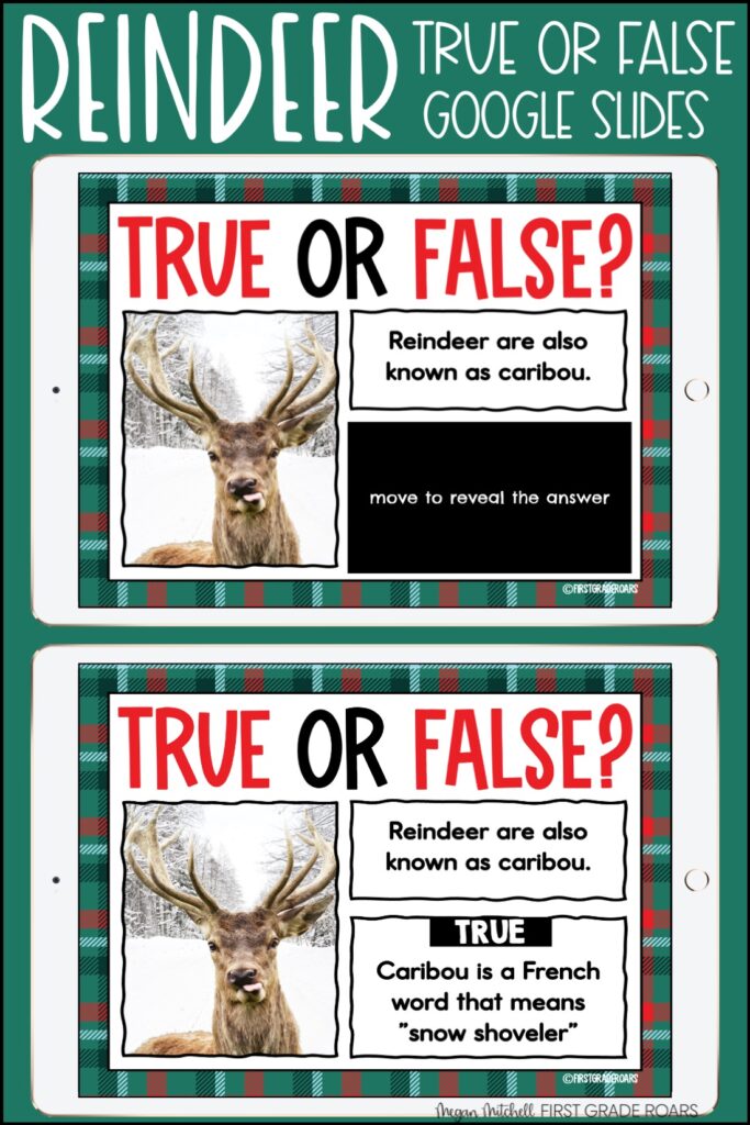 True or False Reindeer activity