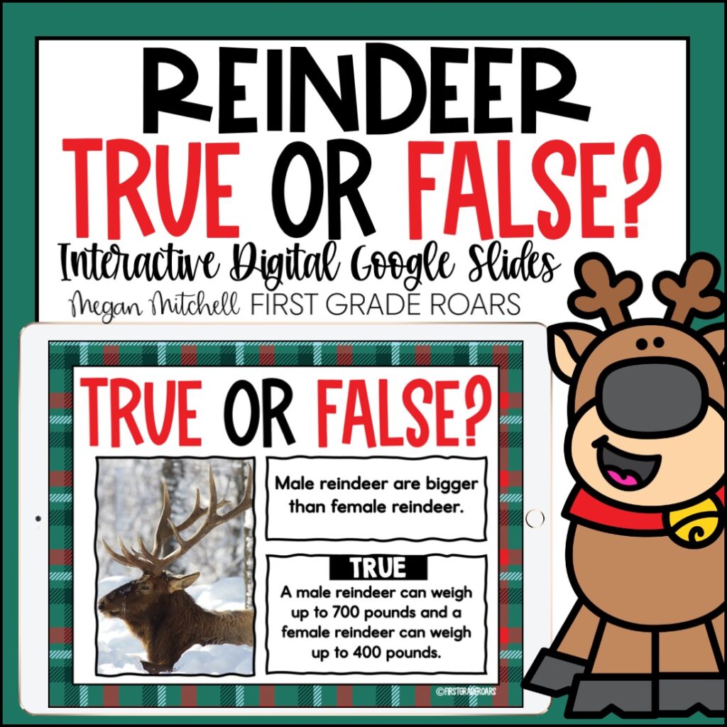 reindeer true or false activity