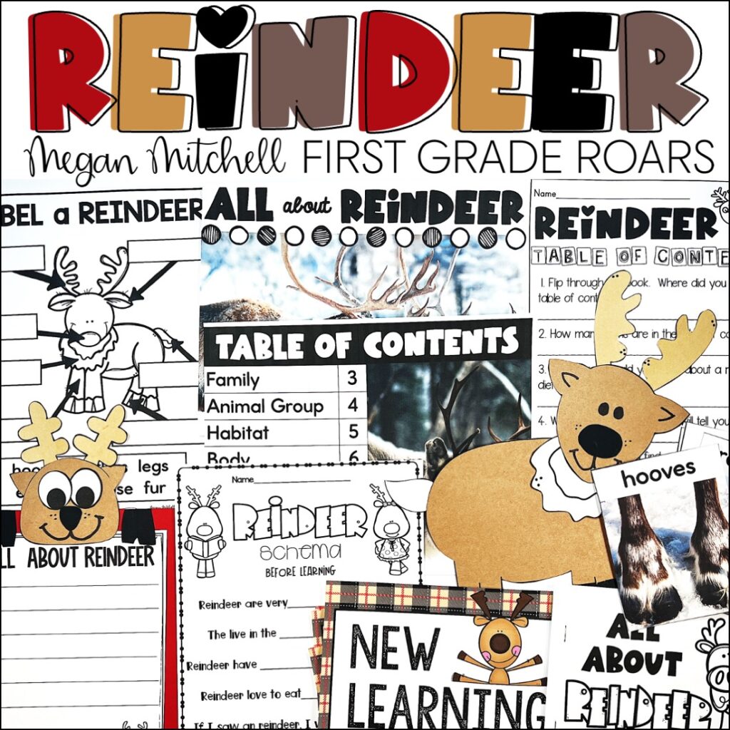 nonfiction reindeer activities
