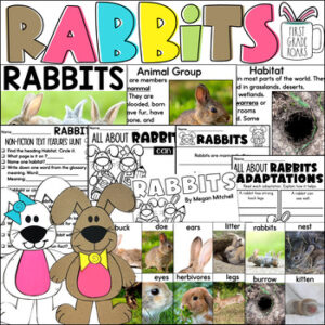 All about Rabbits unit