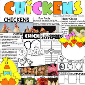 life cycle of a chicken lesson plan unit