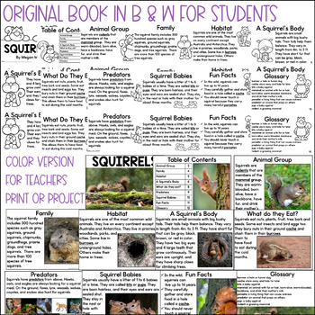 All About Squirrels book
