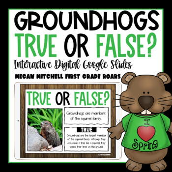 Groundhog True or False Activity