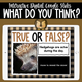 Hedgehogs True or False