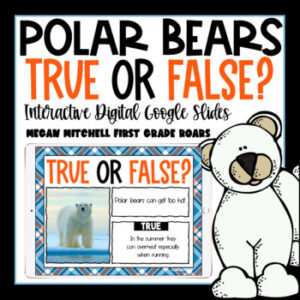 Polar Bear True or False Activity