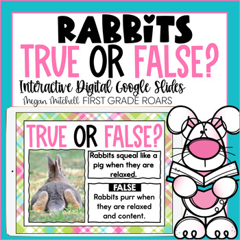 Rabbits true or false Google Slides activity
