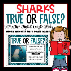 Shark True or False Activity