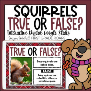Squirrels True or False activity