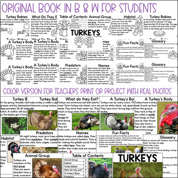 turkey nonfiction book