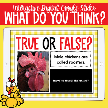 Chicken true or false Google Slides