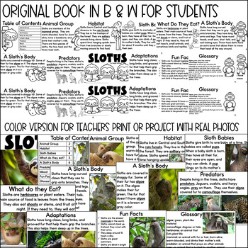 printable book about sloths