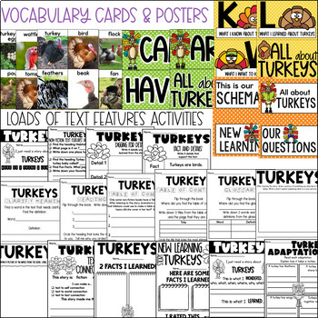turkey reading comprehension