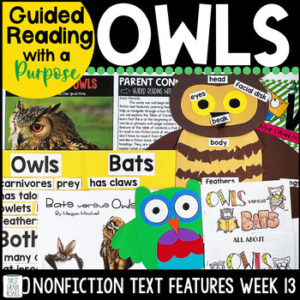 Owl activities Unit