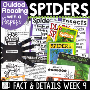 Spider Activities Guided Reading Unit
