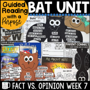 bats activities and guided reading unit