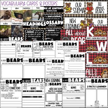bear worksheets