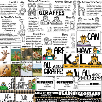 giraffe reading comprehension