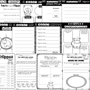 hippo worksheets