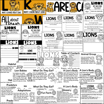 lion worksheets