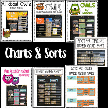 owl charts and sorting activities