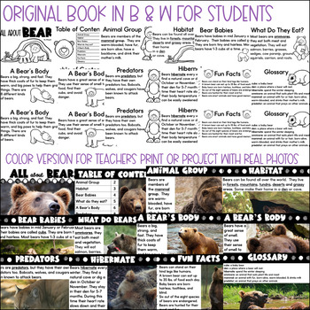 printable nonfiction book about bears for kids