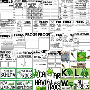 life cycle of a frog worksheets