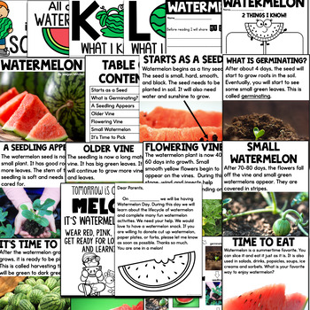 nonfiction book about watermelons for kids