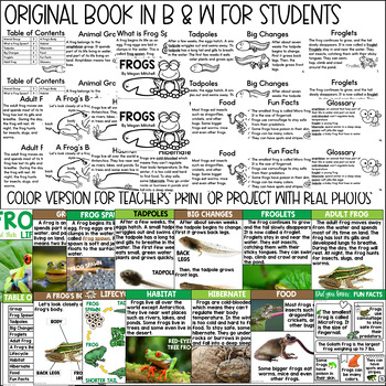 printable book about frog life cycle